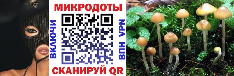Псилоцибиновые грибы мицелий купить наркотики сайты Дудинка